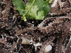 水爆肚-恒盛居回族饭店