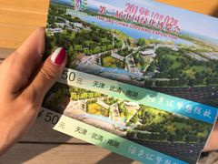 -武清南湖绿博园