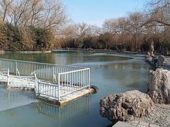 -洛阳市隋唐城遗址植物园