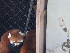 -青藏高原野生动物园