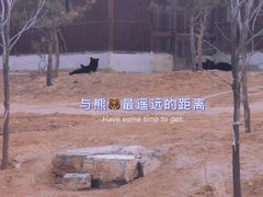 -太原动物园