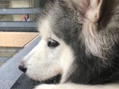 -西北印象佳宴(兴华街中段店)