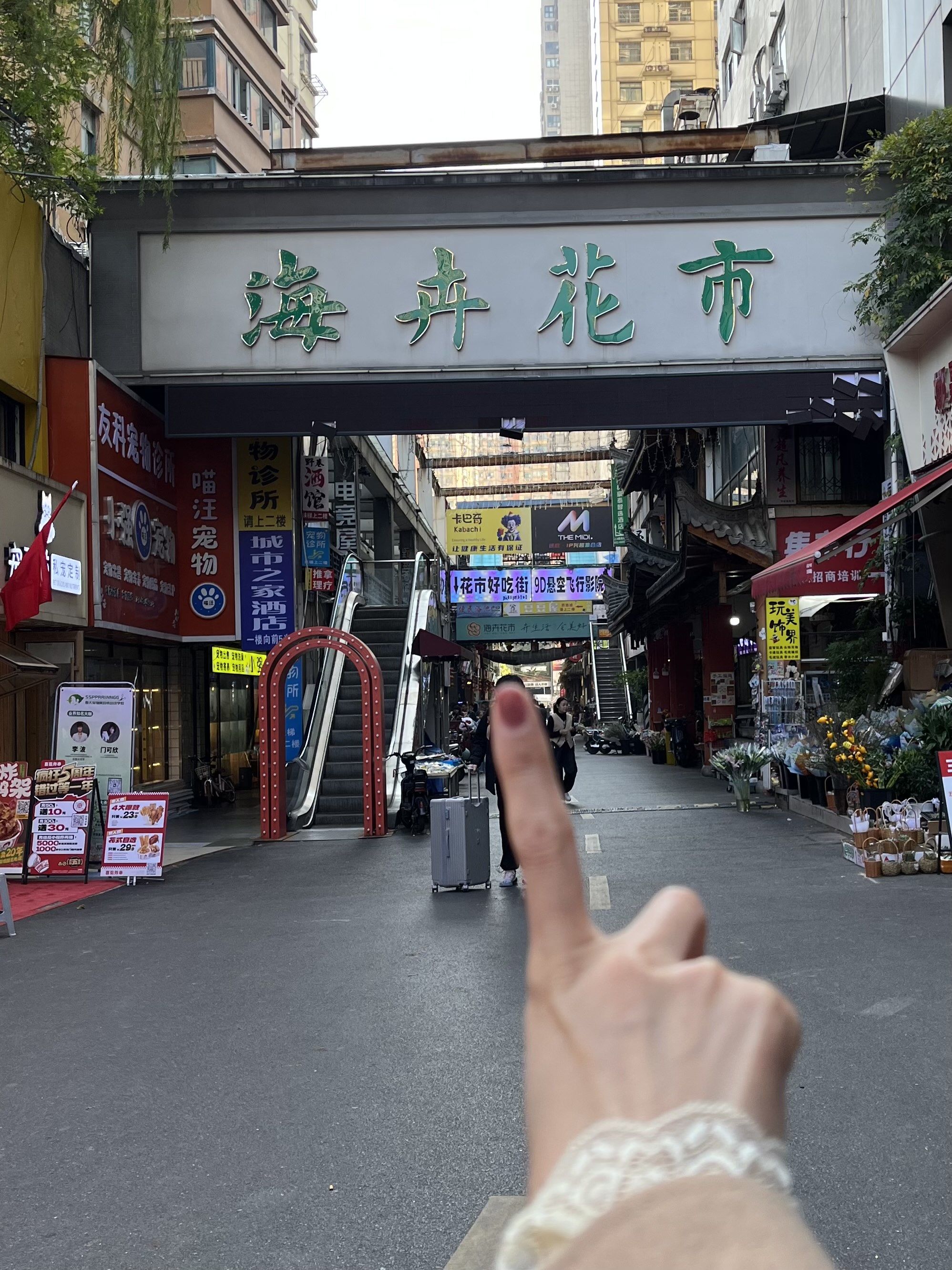 海卉花市旁!好便宜啊.050505