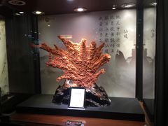 -绮丽珊瑚(台北101旗舰门市店)