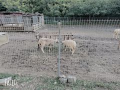 -北京山里寒舍度假酒店