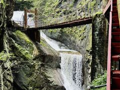 -牛背梁国家森林公园