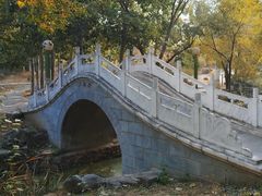 -滨河世纪广场公园