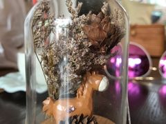 -碧露轩·大益茶体验馆(镇江路店)
