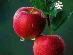 -梅州天地人花园酒店(梅县人民广场店)