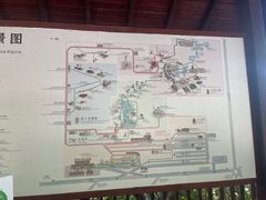 -亚龙湾热带天堂森林公园