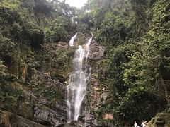 景点-鼎湖山风景区