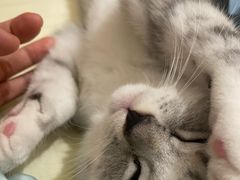 -佳雯宠物医院·皮肤科·内外科(春晓路分院)