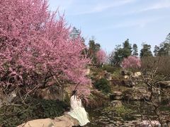 -秀丽东方