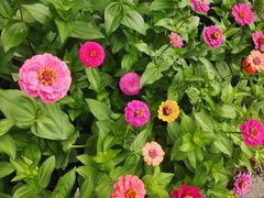 -永定河休闲森林公园