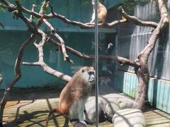 -宁波野生动物园