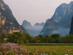-明仕田园