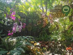 -Chom Cafe and Restaurant