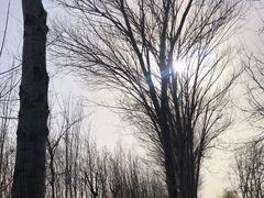 -东郊湿地公园