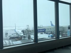 -全日本空输株式会社(上海办事处)