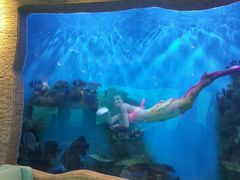 -瑞德姆美人鱼海底演艺主题餐厅(亚龙湾店)