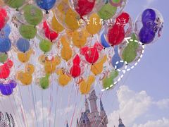 -上海迪士尼度假区