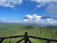 -武陵山森林公园