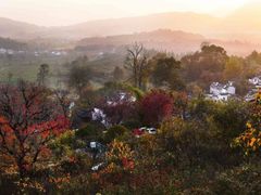 -塔川景区