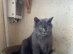 -小时光咖啡馆(开森度假森林店)