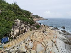 -广东惠东海龟国家级自然保护区
