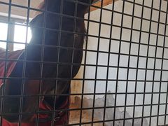 -北京群众马术培训基地