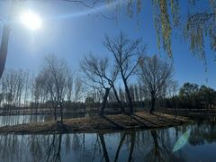 -东郊湿地公园