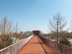 -大兴滨河森林公园