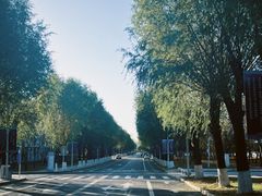 -吉林大学(前卫南区)