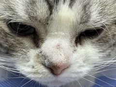 -中农国际动物医院24小时·猫科·骨科·急重症中心