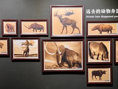 -大庆市博物馆