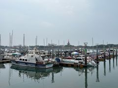 -日照世帆赛基地