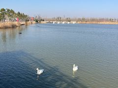 -盐城丹顶鹤湿地生态旅游区