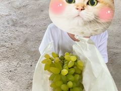 -马陆小张葡萄园农家乐