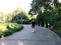 -大兴滨河森林公园