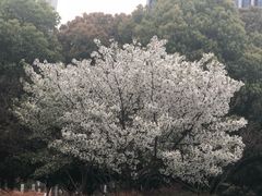 -尚贤河湿地