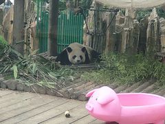 -大连森林动物园