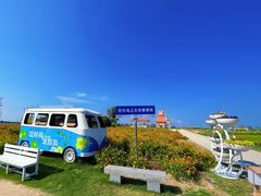 -杭州湾海上花田景区