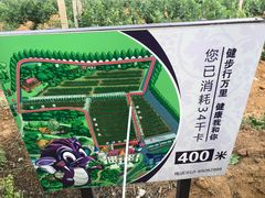 -北京张裕爱斐堡酒庄