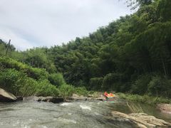 -宁波浙东大竹海景区