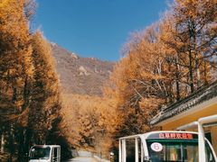 -白草畔自然风景区