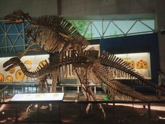 -湖南省地质博物馆