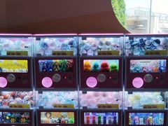 -南昌海洋公园