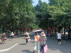 -成都动物园