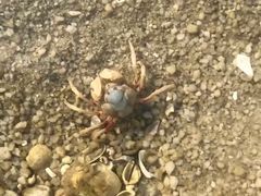 -北海金海湾红树林生态旅游区