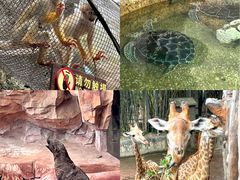 -长鹿旅游休博园